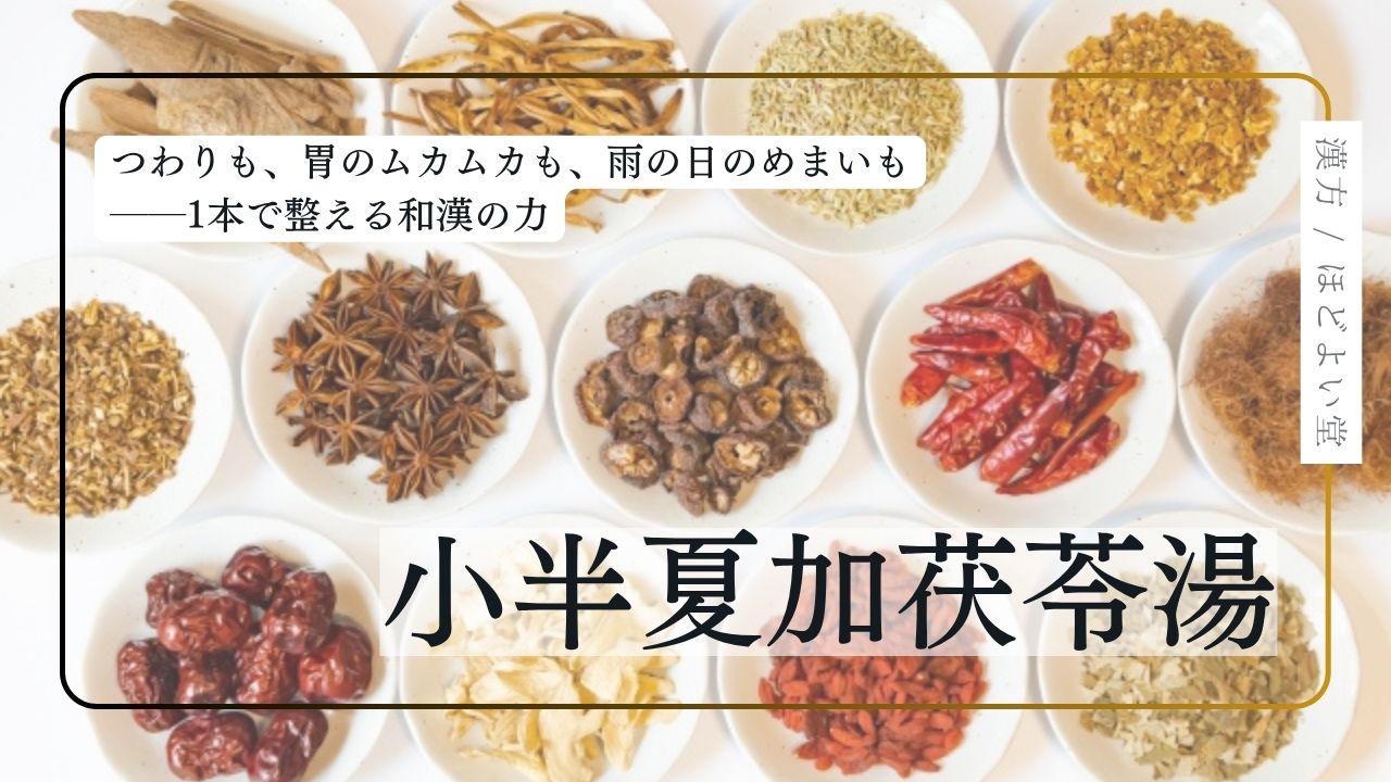 つわりや嘔吐、めまい・むくみに効果的な漢方・小半夏加茯苓湯の紹介画像